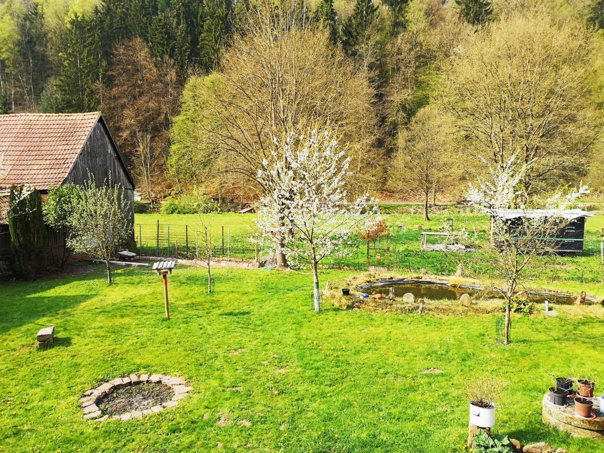 Sinnglueck Obersinn Экстерьер фото